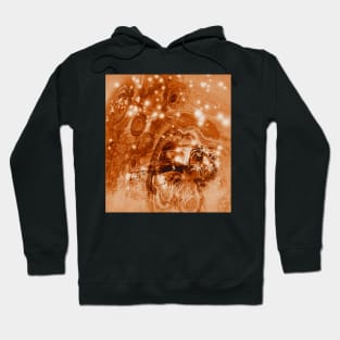 Rusty ghost wreck Hoodie